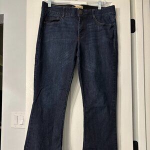 Democracy "Ab" Solution Itty Bitty Bootcut Jeans - size 12